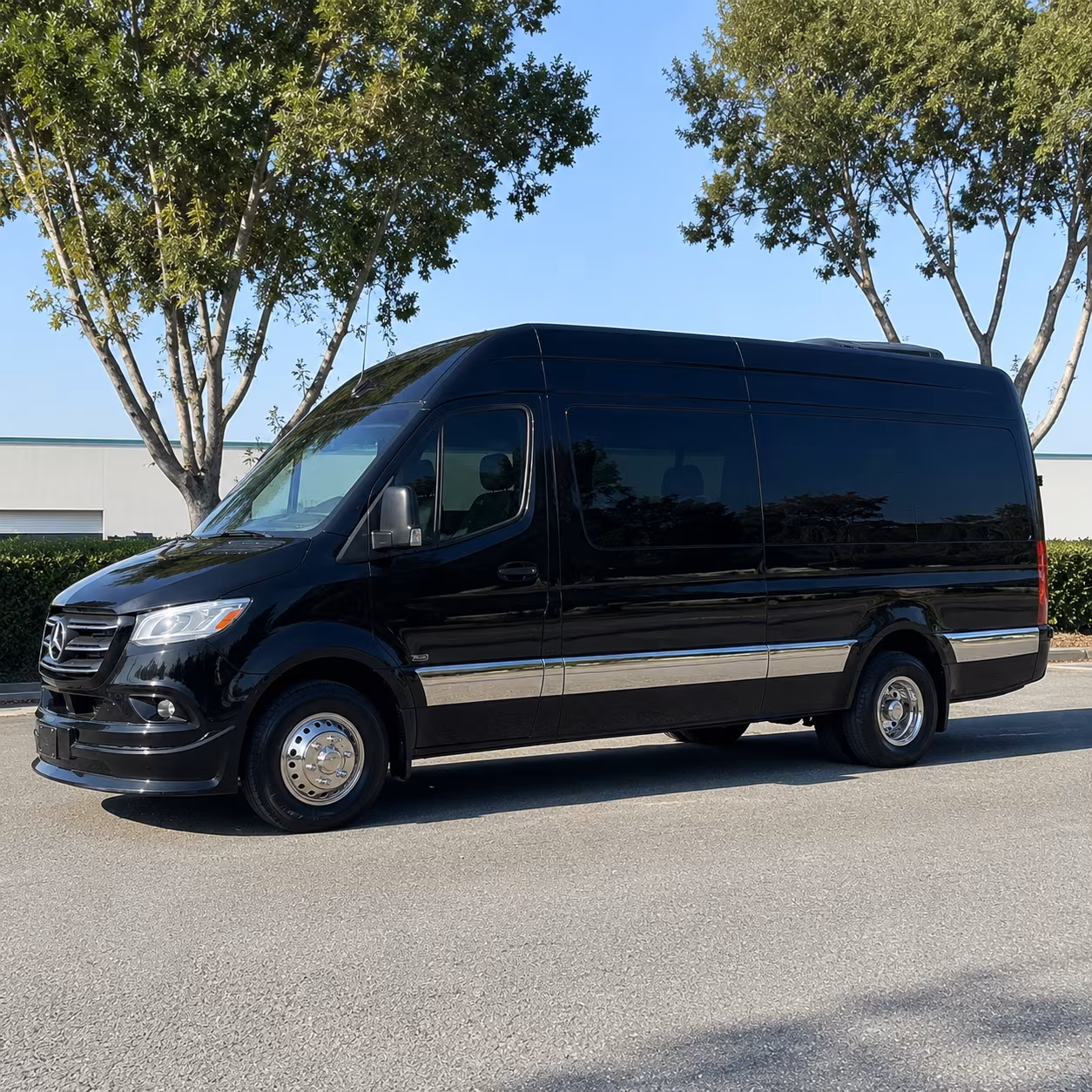sprinter vans and minibuses for executive and small group corporate travel